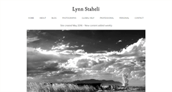 Desktop Screenshot of lynnstaheli.com