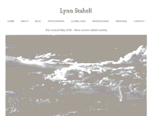 Tablet Screenshot of lynnstaheli.com